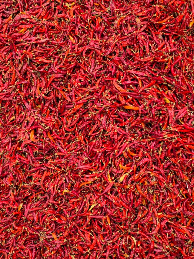 Byadagi Chilli (Dry)